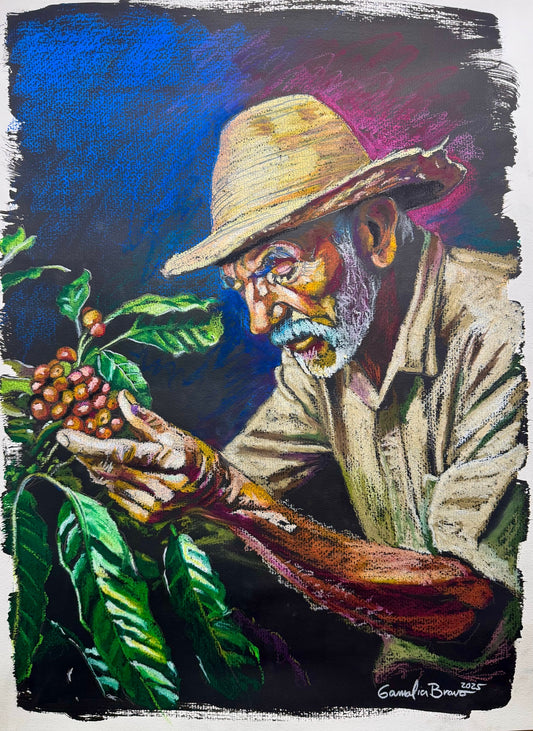 Gamalier Bravo - El Viejo Caficultor